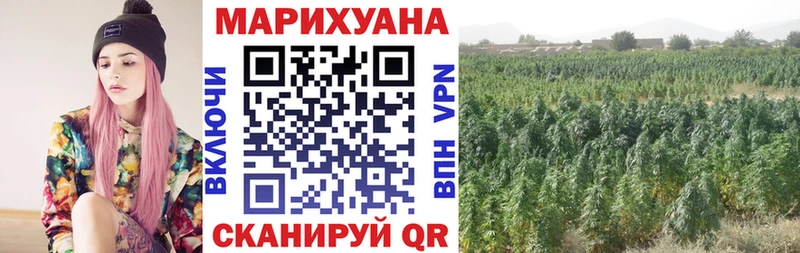 Купить где  Нерчинск  Конопля план 